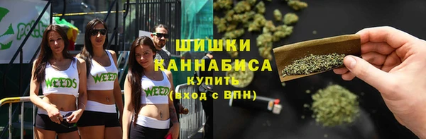 стафф Богородск