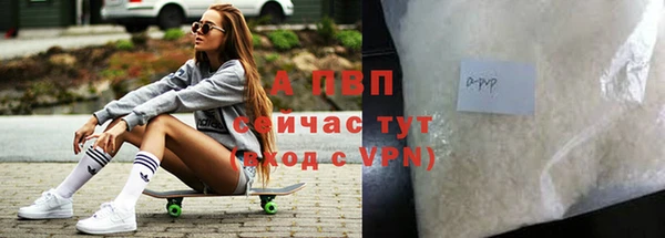 молекула духа Богданович