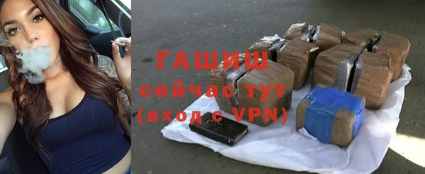 молекула духа Богданович