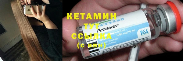 молекула духа Богданович