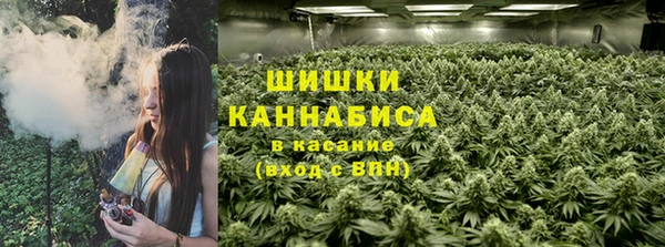 молекула духа Богданович