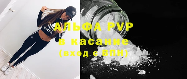 СК Бронницы