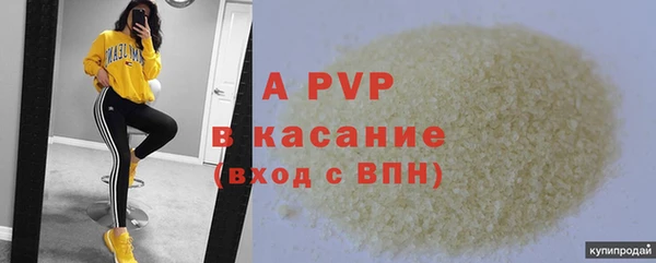 стафф Богородск