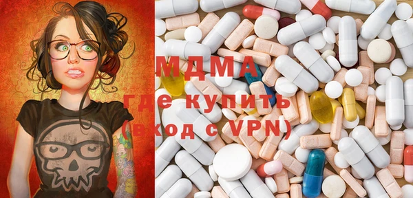 молекула духа Богданович