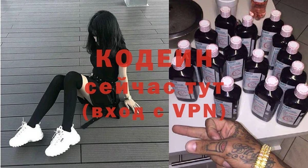 молекула духа Богданович