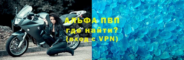 молекула духа Богданович