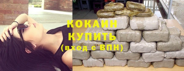 молекула духа Богданович