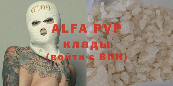 молекула духа Богданович