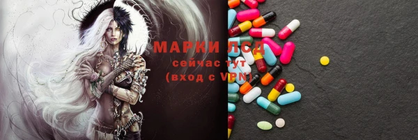 молекула духа Богданович