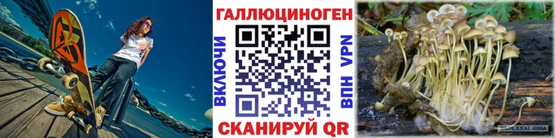 Псилоцибиновые грибы Psilocybine cubensis Можайск