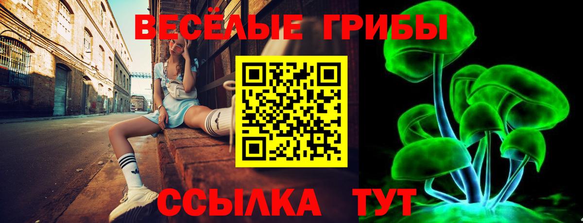 Галлюциногенные грибы мицелий  Вход с VPN  Можайск 
